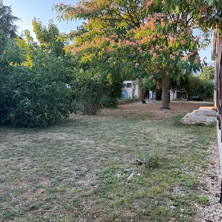 Piscine Nature Au Coeur Des Cevennes ヴィラ Molières-Cavaillac